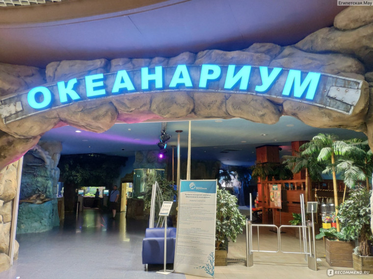 Невероятное путешествие в мир морских глубин!.